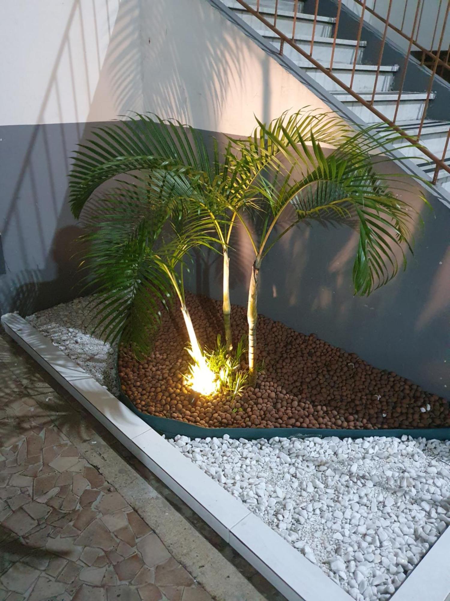 Kitnet Brasil Apartamento *